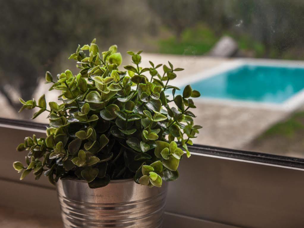 Abelia Luxurious Villas Finikounda Exteriér fotografie